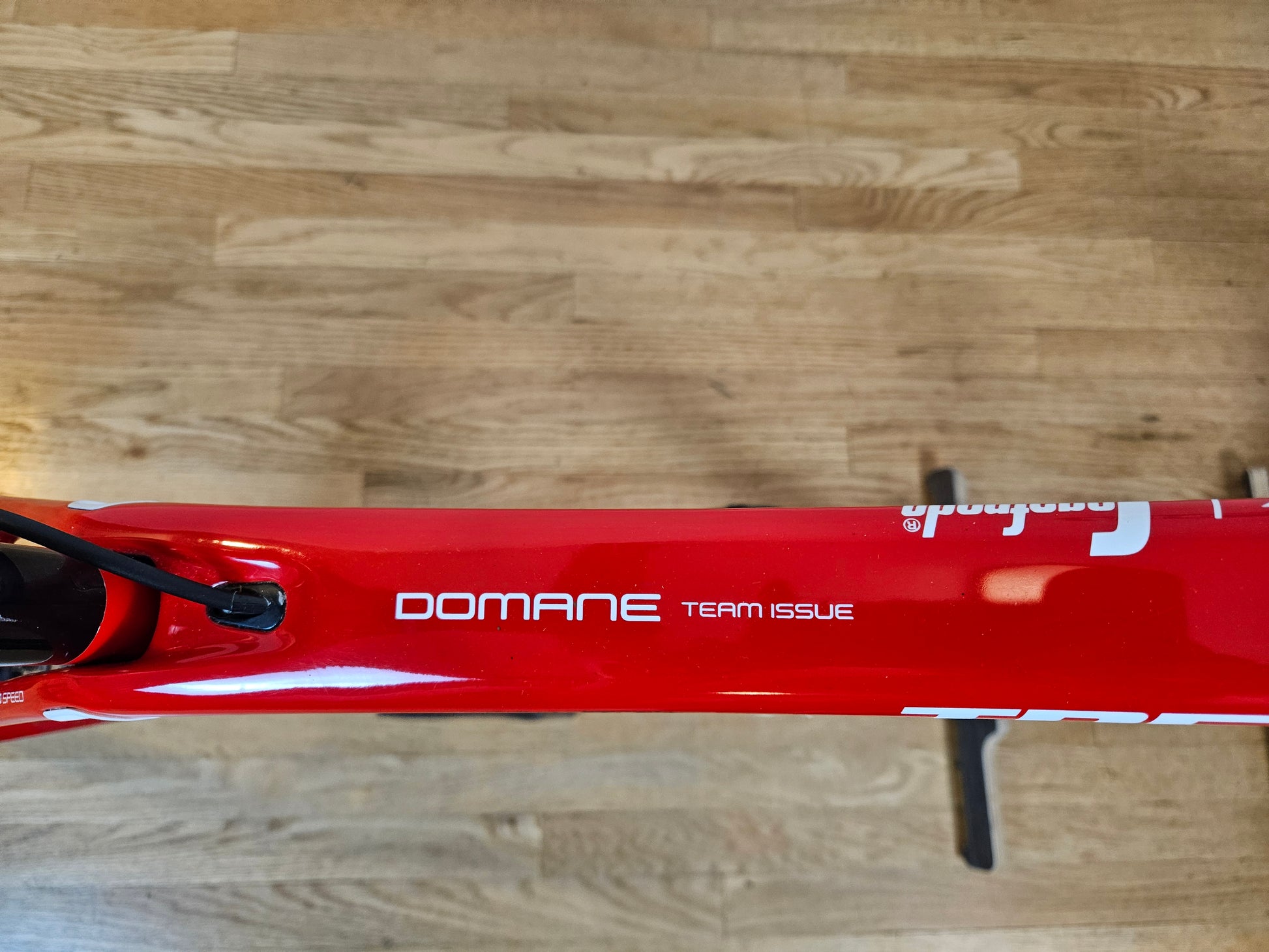 Used 2018 Trek Domane SLR 6 Segafredo Team Issue Ultegra - 50cm - Brooklyn Carbon Bike Co.