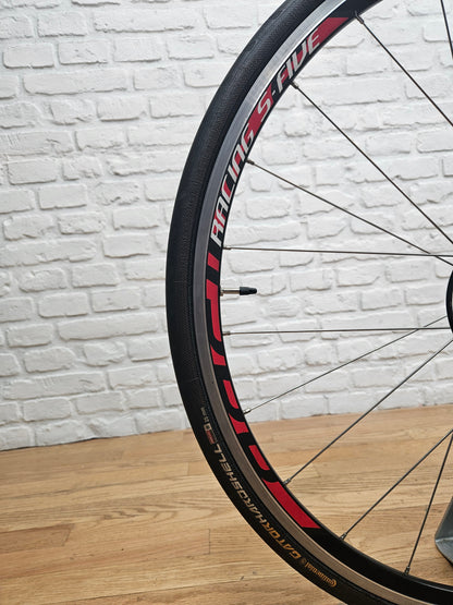 Used 2016 Specialized Roubaix Elite SL4 105 - 61cm